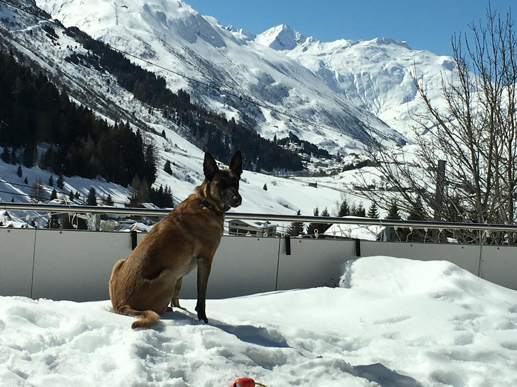 Bnb Bellavista Apartment Andermatt Zewnętrze zdjęcie